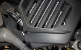 HONDA DUNK 2006 AF78