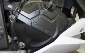 KAWASAKI Z250 2021 ER250C