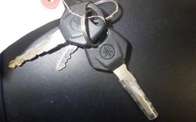 YAMAHA YZF-R25 A 2006 RG43J