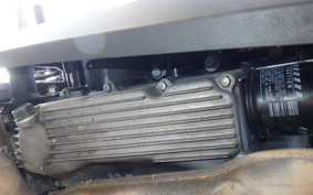 KAWASAKI NINJA 250 EX250L