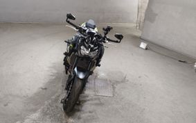 KAWASAKI Z900 2022 ZR900B