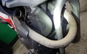 HONDA CRF250L 2024 MD47