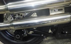 OTHER THUNDER 250