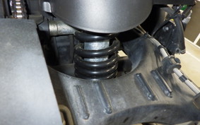 OTHER +ENFIELD ﾋﾏﾗﾔﾝ 2021