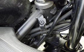 KAWASAKI NINJA 250 2010 EX250Y