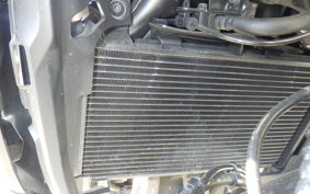 HONDA NX400 2025 NC65