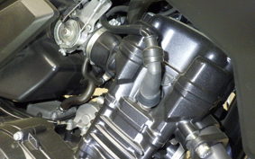 SUZUKI Vｽﾄﾛｰﾑ250A 1998