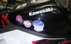 KAWASAKI ZX-25R 2023 ZX250E