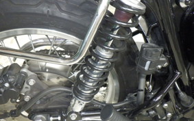 KAWASAKI W800 2022 EJ800E