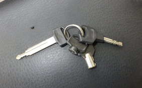 HONDA ZOOMER 2018 AF58