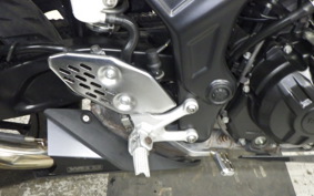 YAMAHA MT-25 2019 RG10J