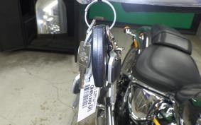 HARLEY FLSTFI1920 2025