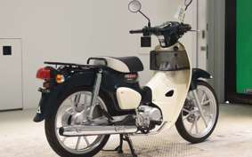 HONDA C110 SUPER CUB 2013 JA59