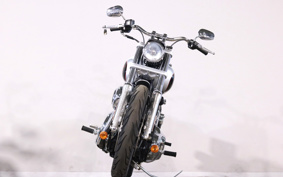 HARLEY FXDL 2014 GN4