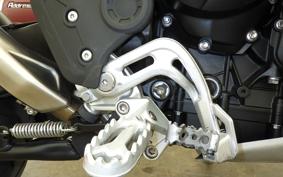 TRIUMPH TIGER 900 RALLY PRO 2025