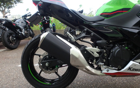 KAWASAKI NINJA 250 EX250P