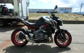 KAWASAKI Z900 2019 ZR900B