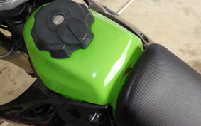 KAWASAKI KLX250D TRACKER LX250E