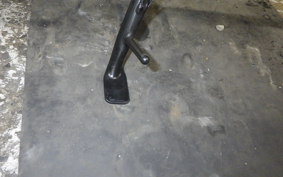 YAMAHA XSR900GP 2024