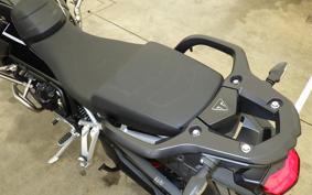TRIUMPH TIGER 900 RALLY PRO 2025