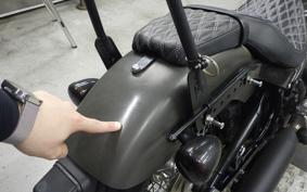 HARLEY FXBB1750 2019