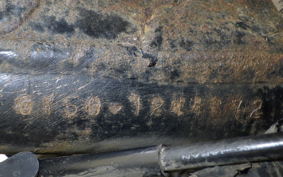 HONDA R&amp;P 2024 CY50