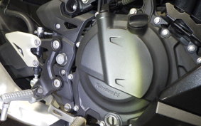 KAWASAKI NINJA 250 2 2021 EX250P