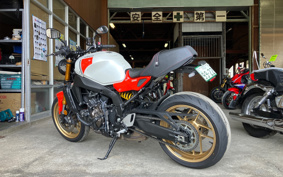YAMAHA XSR900 2024 RN80J