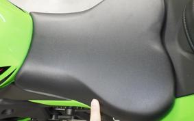 KAWASAKI ZX-4RR 2023 ZX400P