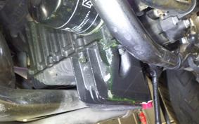 KAWASAKI BALIUS 250 Gen.2 2023 ZR250B