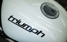 TRIUMPH DAYTONA 675 R 2015