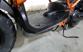 HONDA ZUMAR AF58