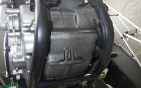 YAMAHA WR250X 2024