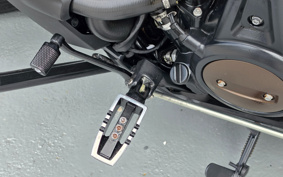 HARLEY RH1250S 2022 ZC4