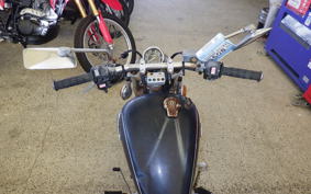 YAMAHA VIRAGO 250 2013 3DM