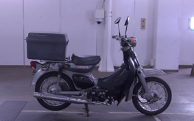 OTHER  LITTLE CUB -E FI