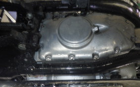 KAWASAKI W800 2024 EJ800E