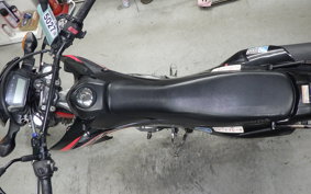 HONDA CRF250L 2010 MD38