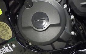 KAWASAKI NINJA 250 2 2024 EX250P