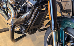 HARLEY  HARLEY FLSB 2022 YMJ