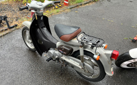HONDA LITTLE CUB C50