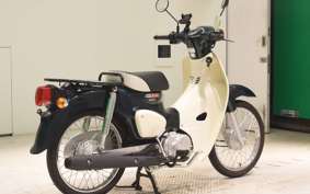 HONDA C50 SUPER CUB 2009 AA09