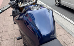 YAMAHA FZ1 FAZER N 2007 RN17