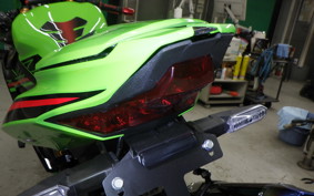 KAWASAKI ZX-4RR 2023 ZX400P