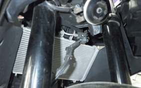YAMAHA YZF-R3 2021 RH13J