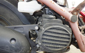 HONDA ZOOMER AF58