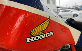 HONDA TLR200 MD09