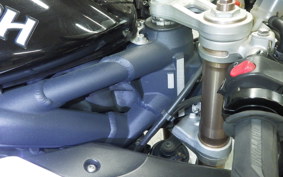TRIUMPH DAYTONA 675 2010