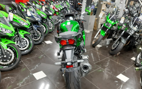 KAWASAKI NINJA H2 SX SE 2024 ZXT02P