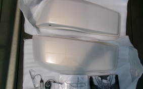 HARLEY  HARLEY FLTRXSTSE CVO 2024 TL8